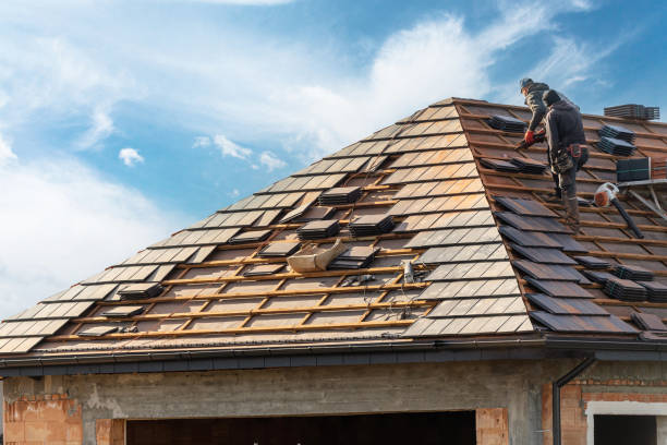 Best Roof Moss and Algae Removal  in Belton, TX
